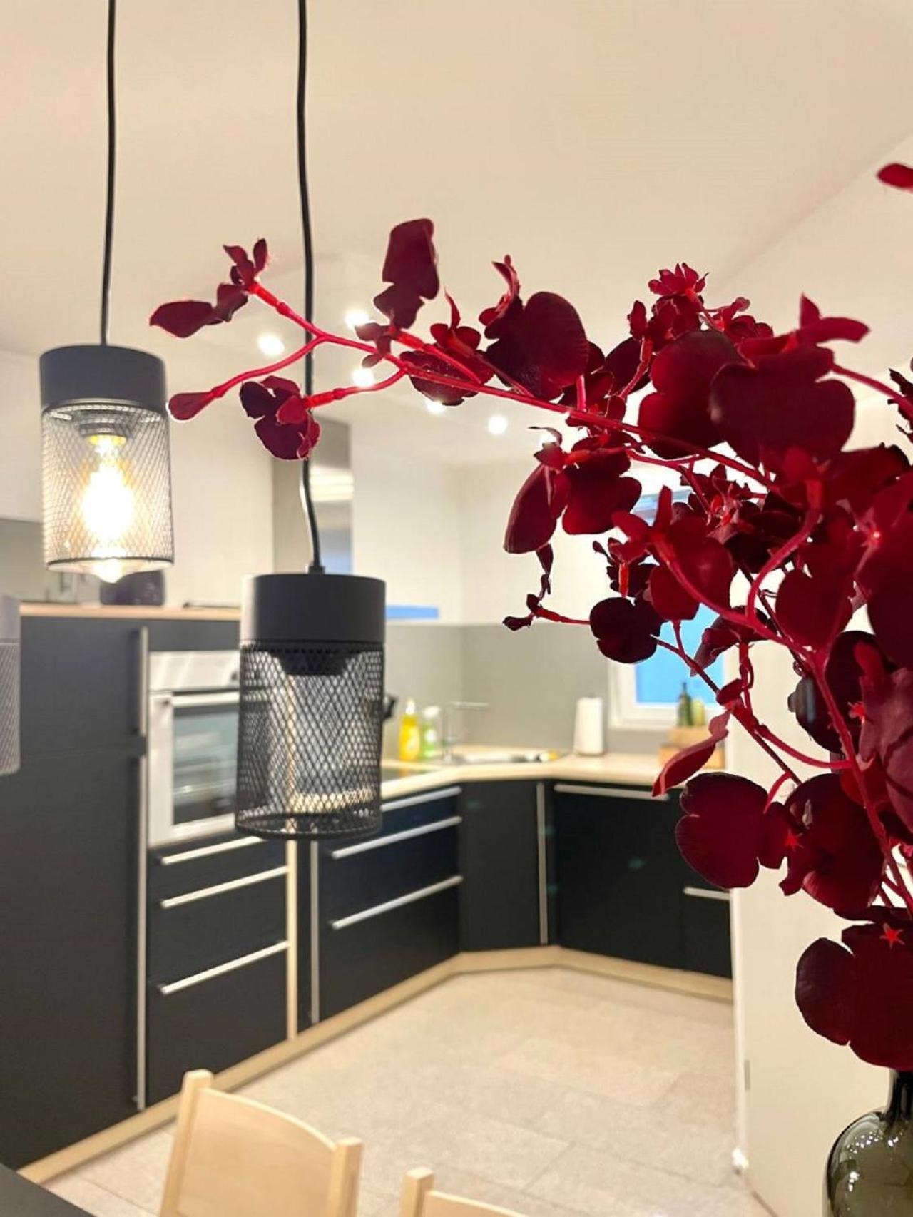 Geraeumiges Ferienhaus In Koblenz コブレンツ エクステリア 写真