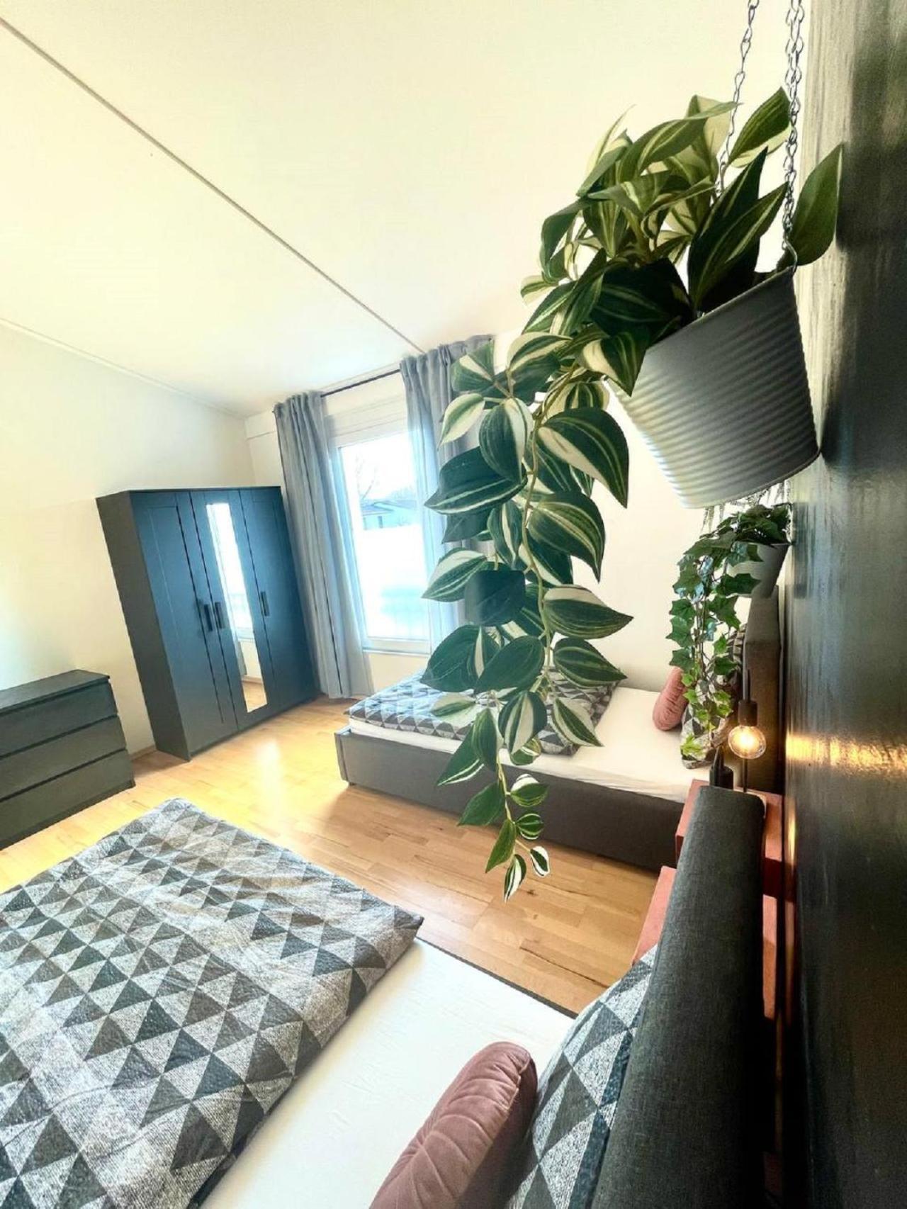 Geraeumiges Ferienhaus In Koblenz コブレンツ エクステリア 写真